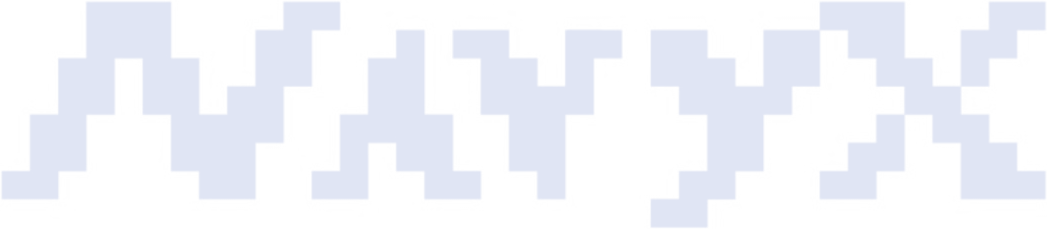NavyX